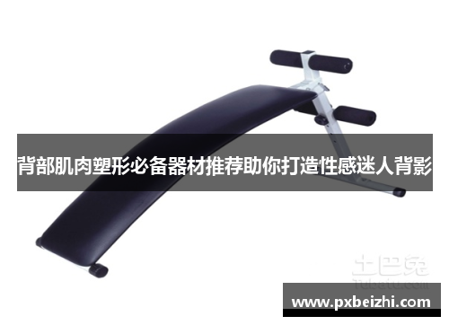 背部肌肉塑形必备器材推荐助你打造性感迷人背影