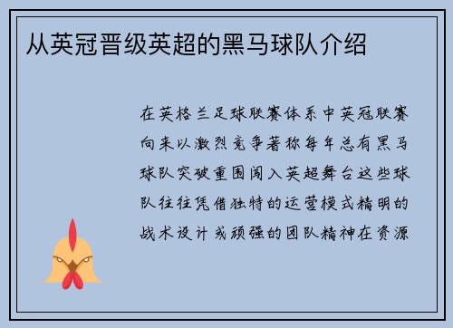 从英冠晋级英超的黑马球队介绍