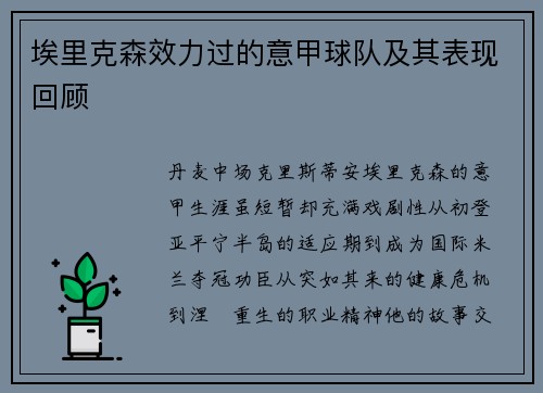 埃里克森效力过的意甲球队及其表现回顾